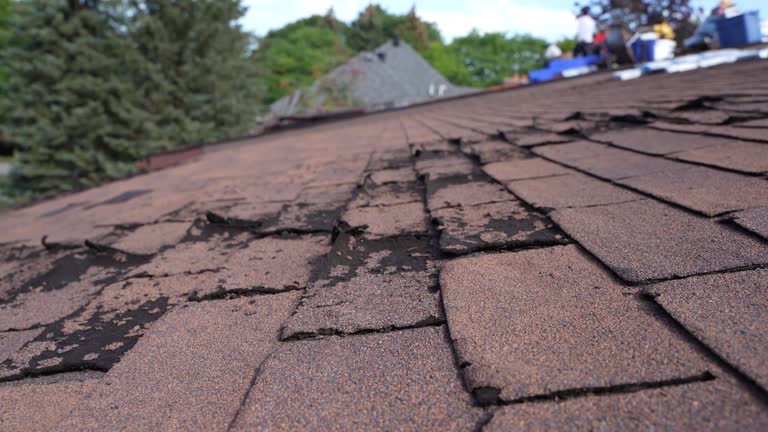 Best Gutter Installation and Repair  in Westwood Shores, TX